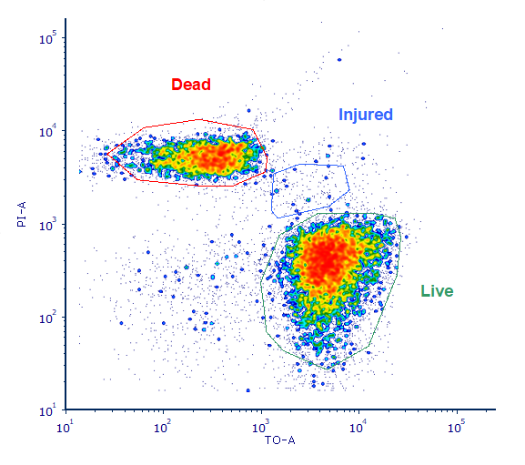 Flow cytometry scatter plot resolving live, injured and dead cell populations